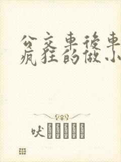 公交车后车座的疯狂的做小