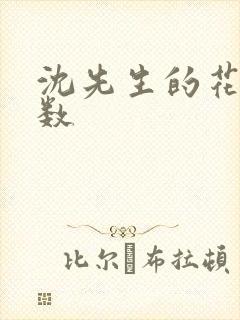 沈先生的花式调数