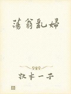 荡翁乱妇