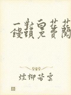 一对白花花的大馒头免费阅读封面