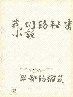 我们的秘密泰剧小说