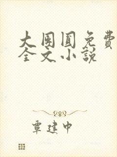 大团圆免费阅读全文小说封面