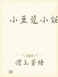 小豆蔻小说