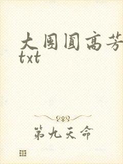 大团圆高芳小说txt