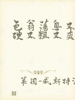 色翁荡息又大又硬又粗又爽电影