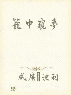 笼中窥梦