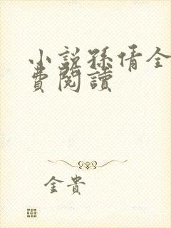 小说孙倩全文免费阅读封面