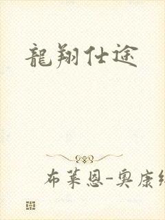 龙翔仕途