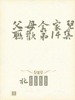 父母全家儿女大联欢第14集封面