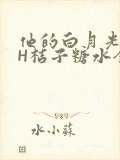 他的白月光HVH桔子糖水全文