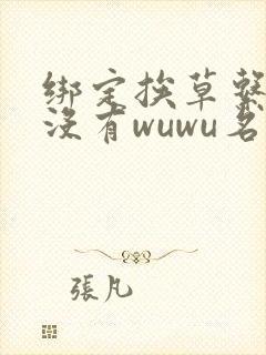 绑定挨草系统后没有wuwu名字