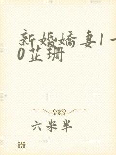 新婚娇妻1一40芷珊