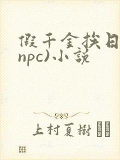 假千金挨日记(npc)小说