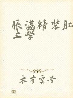 胀满精装肚子去上学封面