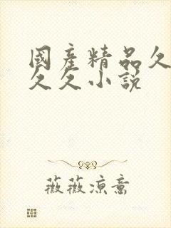 国产精品久久久久久小说