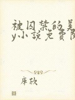 被囚禁的美人by小说免费阅读封面
