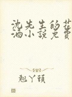 沈先生的花式调酒小说免费阅读