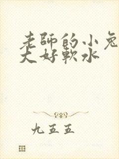 老师的小兔子好大好软水封面
