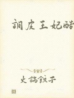 调皮王妃酷王爷封面
