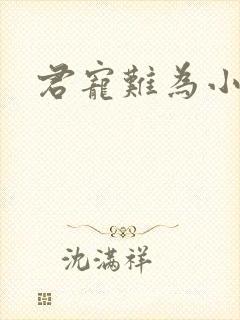 君宠难为小说