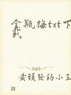 金瓶梅txt下载