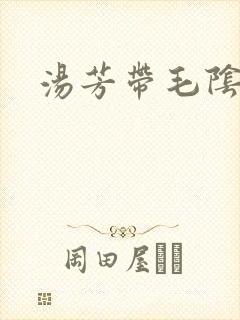 汤芳带毛阴部封面