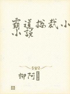 霸道总裁小娇妻小说