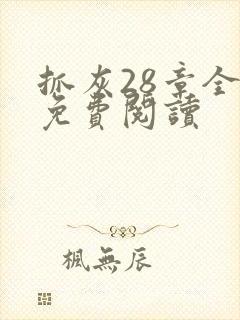 抓灰28章全部免费阅读