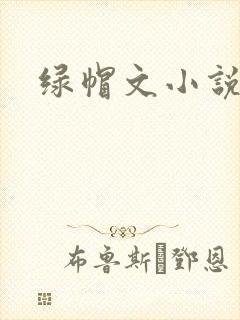 绿帽文小说封面