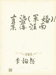 有染(军婚)/叶落淮南
