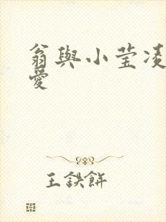 翁与小莹凌晨欢爱