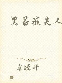 黑蔷薇夫人封面