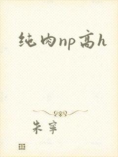 纯肉np高h