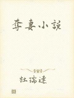 夺妻小说