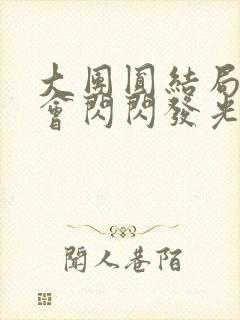 大团圆结局亲情会闪闪发光封面