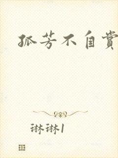 孤芳不自赏小说