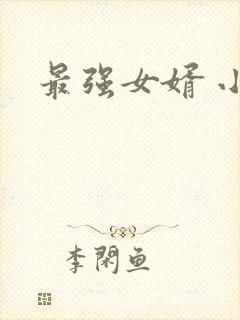 最强女婿 小说