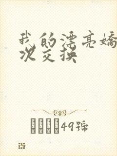 我的漂亮娇妻初次交换