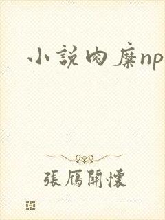 小说肉糜np