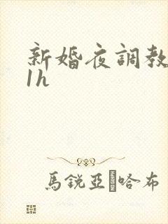 新婚夜调教1v1h