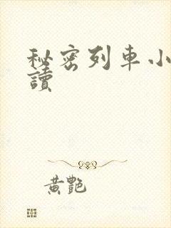 秘密列车小说阅读封面