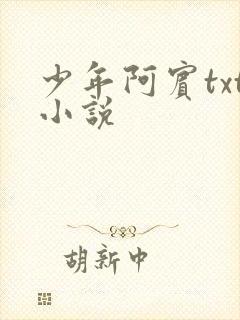 少年阿宾txt小说封面