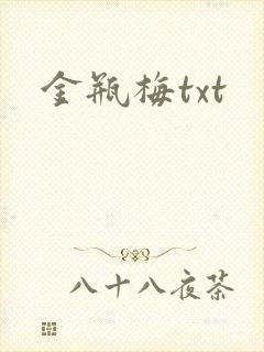 金瓶梅txt封面