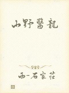 山野医龙