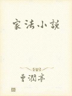 家法小说