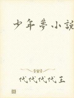 少年梦小说
