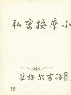 私密按摩小说