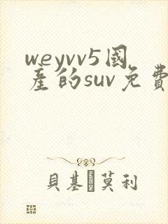 weyvv5国产的suv免费