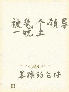 被几个领导玩弄一晚上封面