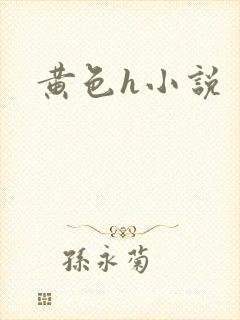 黄色h小说